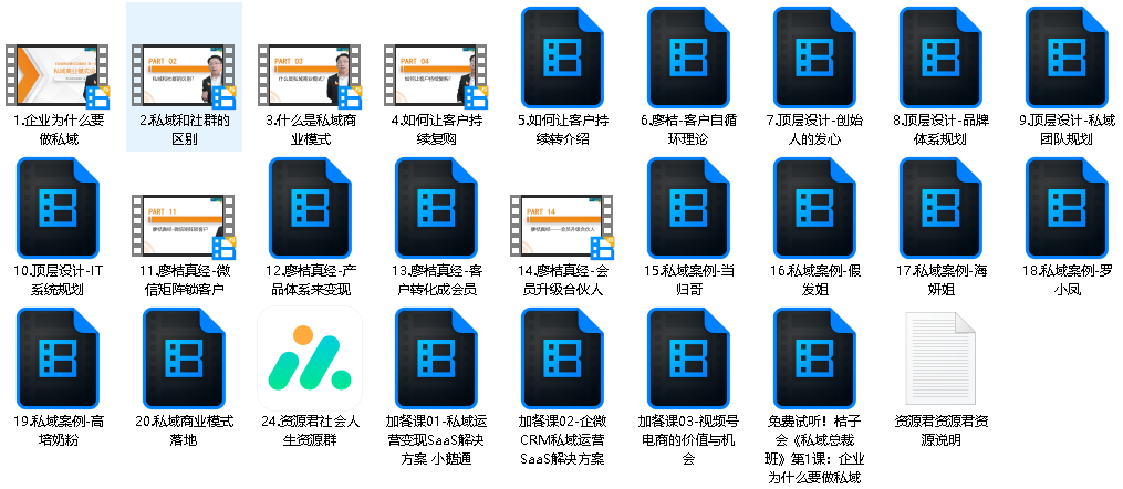 私域顶层商业模式总裁视频课