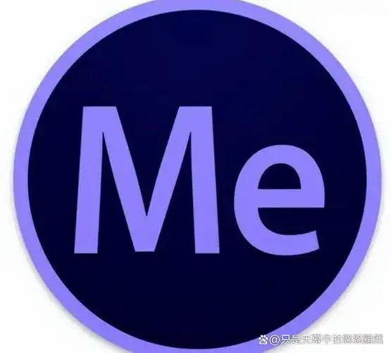 Adobe Media Encoder 2025 25.0