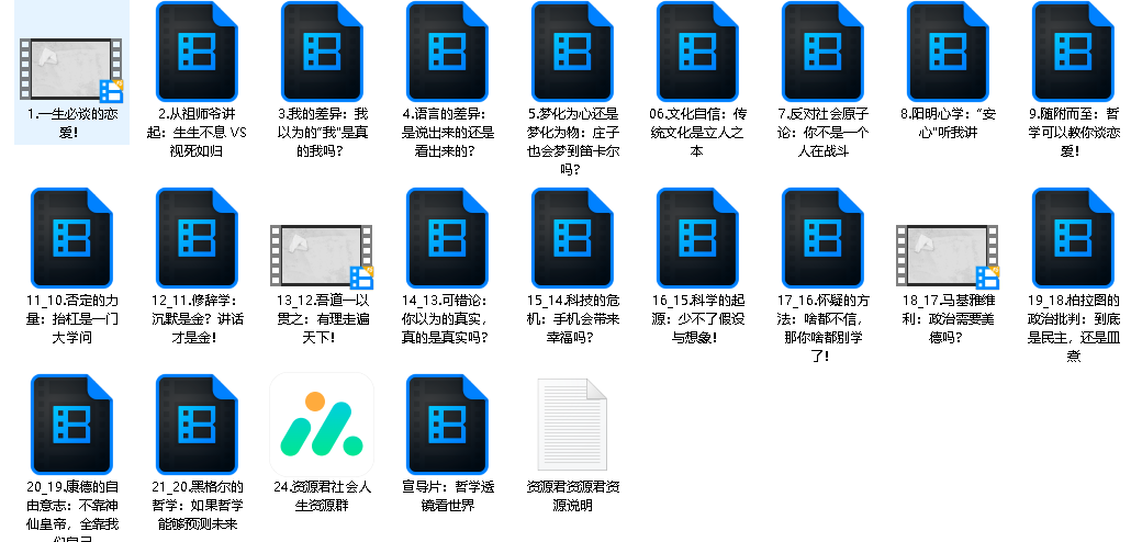 苑举正教授：哲学透镜看世界（完结）