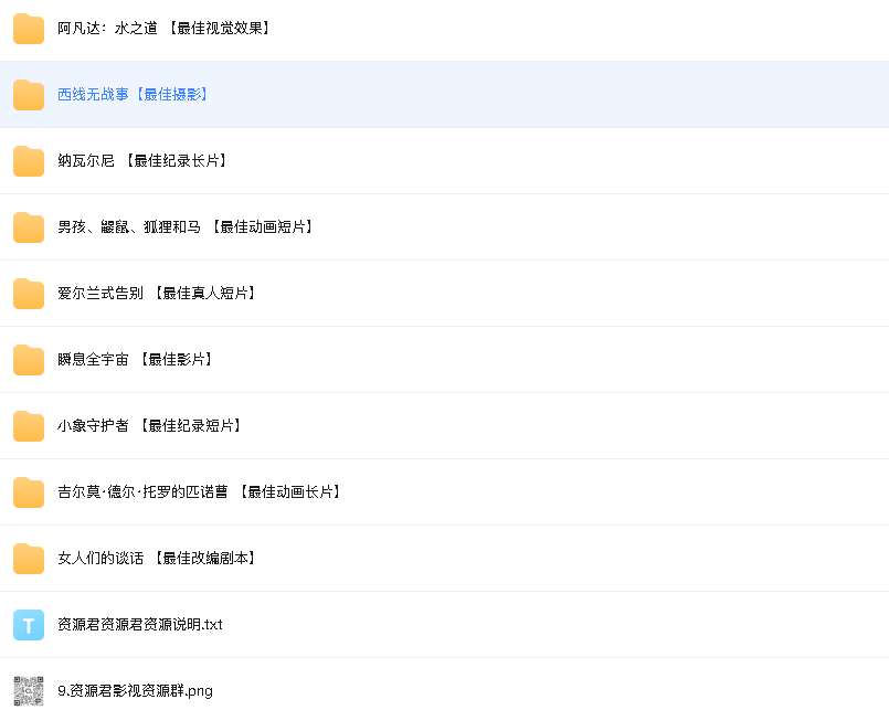 2023年第95届奥斯卡获奖影片【12部74.6GB】（先转存再下载以免资源丢失）