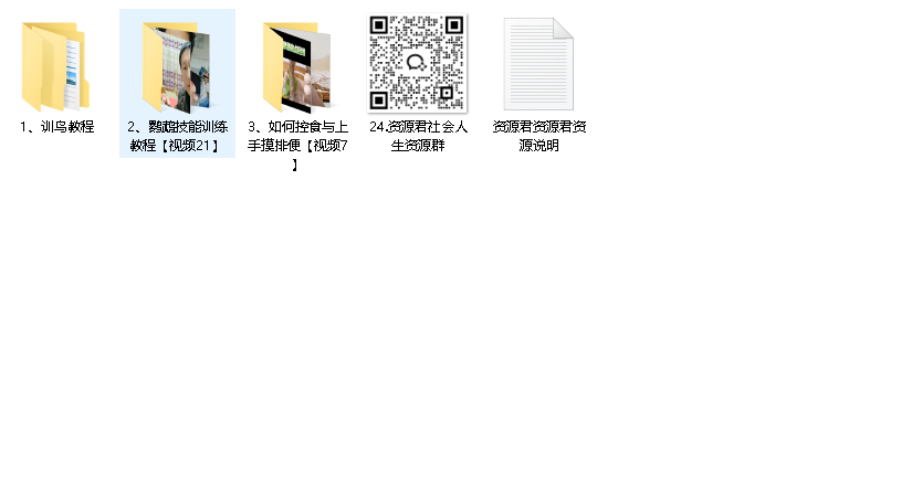 训鸟教程零基础学习 训鸟虎皮牡丹玄凤鹦鹉训练全套解说视频课程