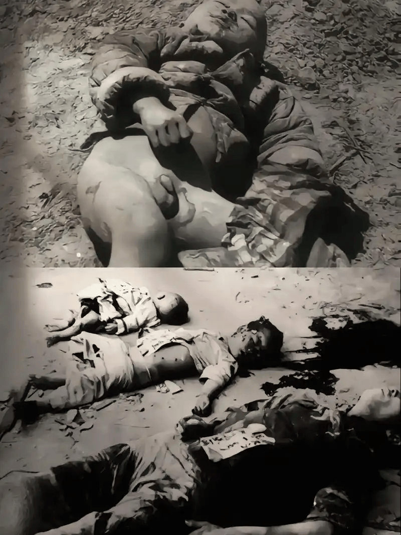 南京大屠杀题材电影合集