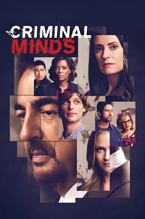 犯罪心理1-16季全集