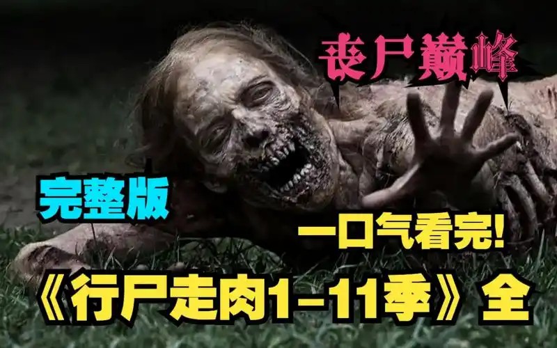 行尸走肉1-11季全集