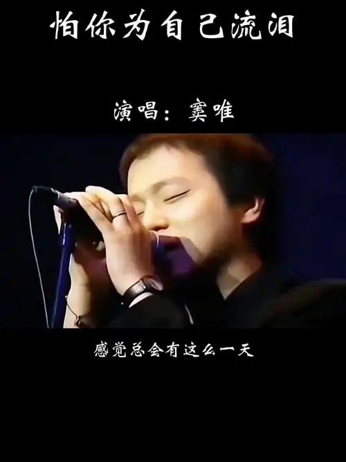 窦唯专辑合集【MP3】【FLAC】【2.6GB】(先转存再下载以免资源丢失）