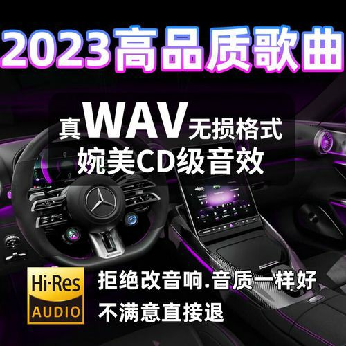 2023车载U盘4000首(先转存再下载以免资源丢失）