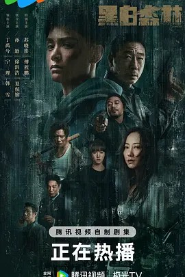 【国剧】黑白森林[28集全](先转存再下载以免资源丢失）