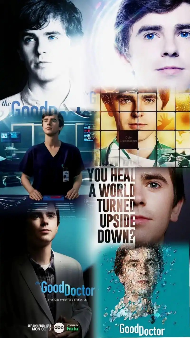 【美剧】良医 The Good Doctor 1-7季全集 中英双字(先转存再下载以免资源丢失）