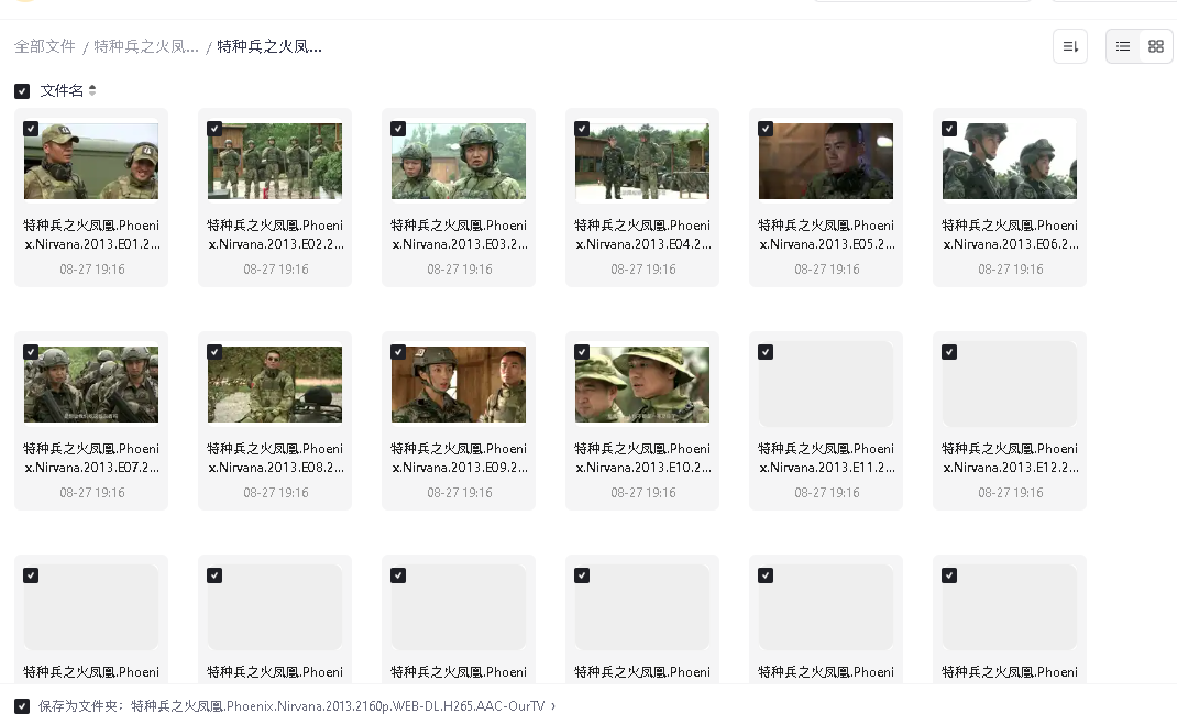 特种兵之火凤凰 (2013)46集(先转存再下载以免资源丢失）