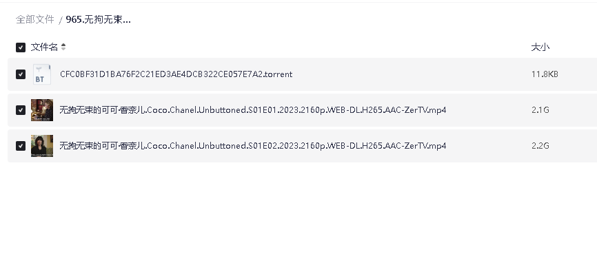 无拘无束的可可·香奈儿[第01-02集][中文字幕](先转存再下载以免资源丢失）