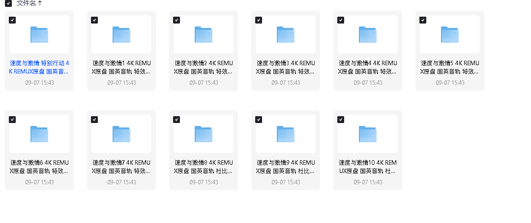 速度与激情系列11部合集 4K REMUX原盘 杜比视界 国英双语音轨 内封特效字幕(先转存再下载以免资源丢失）