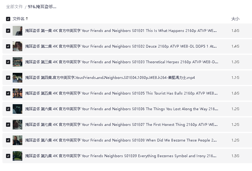 掩耳盗邻 第一季 (2025)9集全(先转存再下载以免资源丢失）