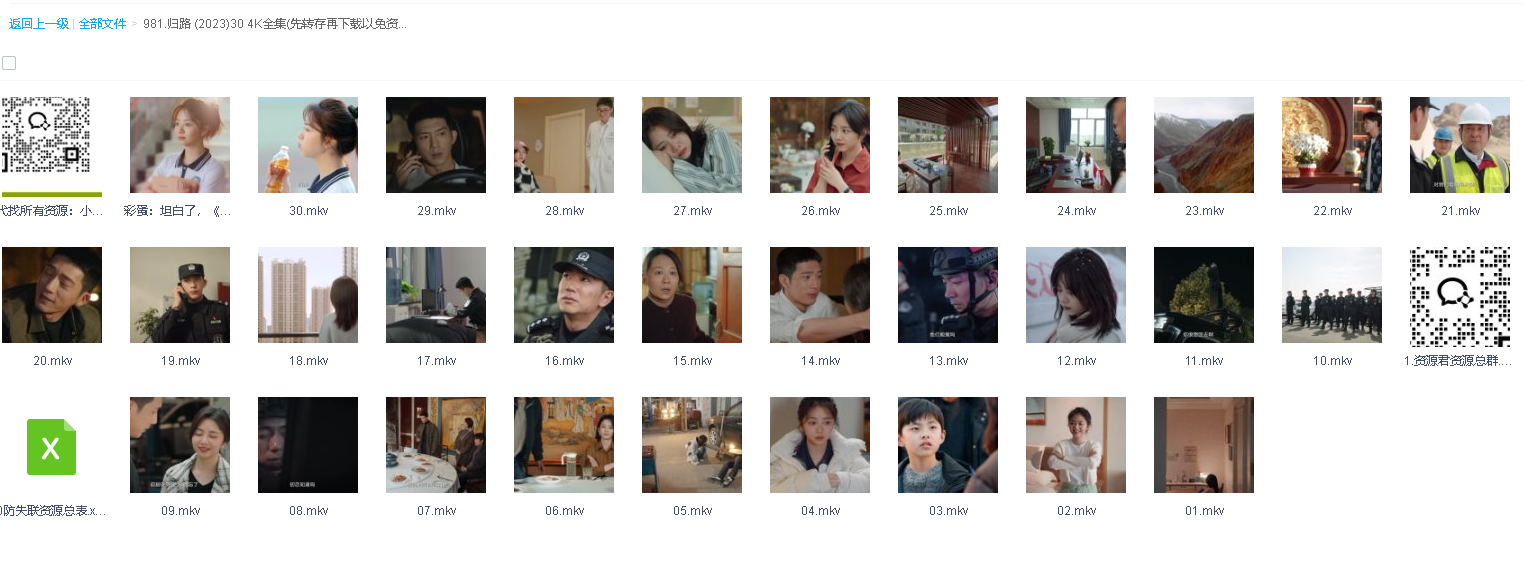 归路 (2023)30 4K全集(先转存再下载以免资源丢失）