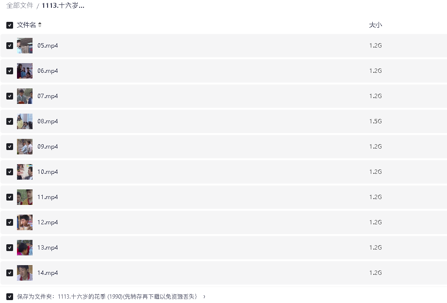 十六岁的花季 (1990)(先转存再下载以免资源丢失）