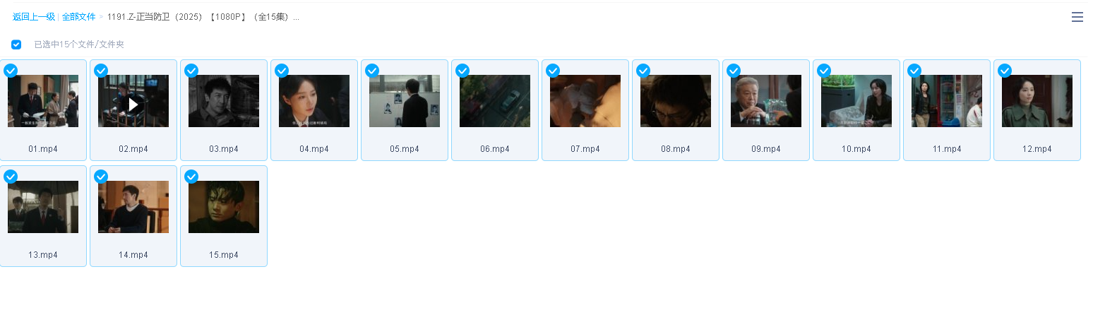 正当防卫（2025）【1080P】（全15集）(先转存再下载以免资源丢失）