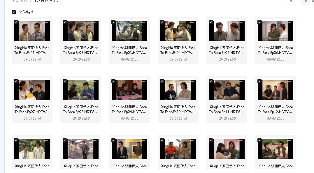 《双面伊人》郑伊健 1080p 20集全(先转存再下载以免资源丢失）