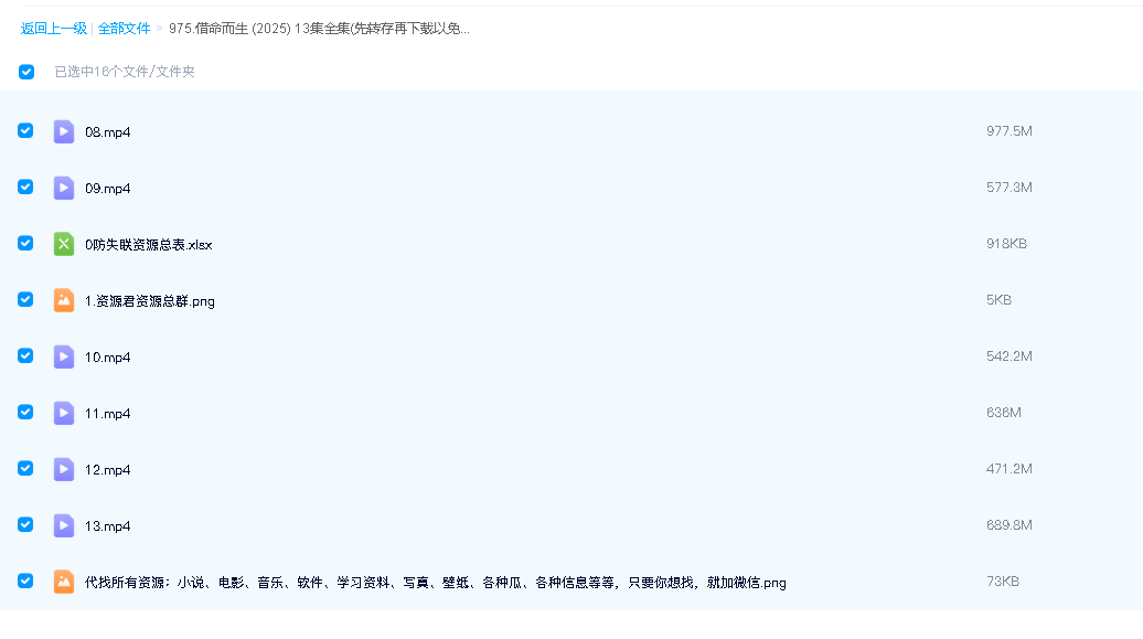 借命而生 (2025) 13集全集(先转存再下载以免资源丢失）