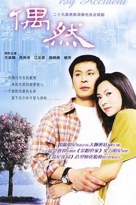 偶然 (2004)29集(先转存再下载以免资源丢失）
