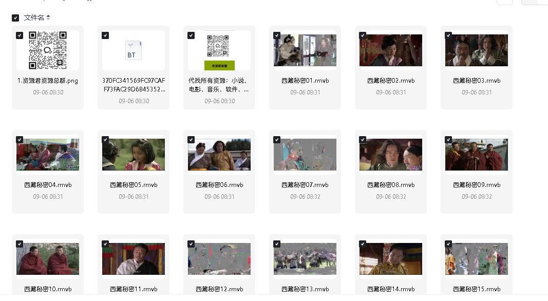 [战争剧][西藏秘密][46集全][DVD](先转存再下载以免资源丢失）