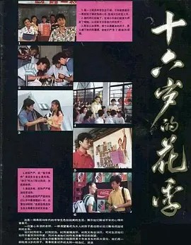 十六岁的花季 (1990)(先转存再下载以免资源丢失）