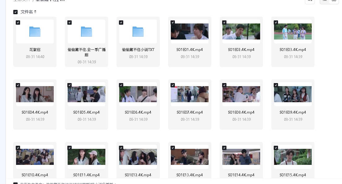 偷偷藏不住[4K][2023][国剧]附小说广播剧(先转存再下载以免资源丢失）