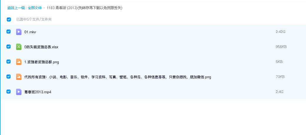 青春派 (2013)(先转存再下载以免资源丢失）