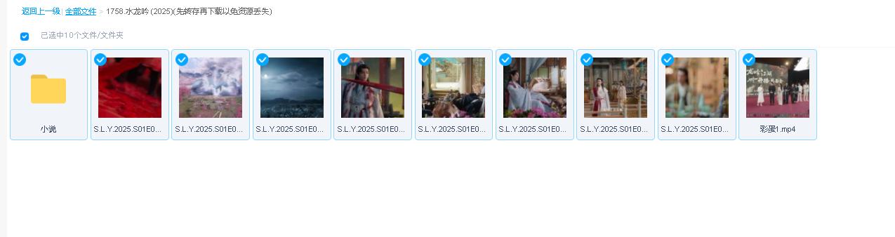 水龙吟 (2025)(先转存再下载以免资源丢失）