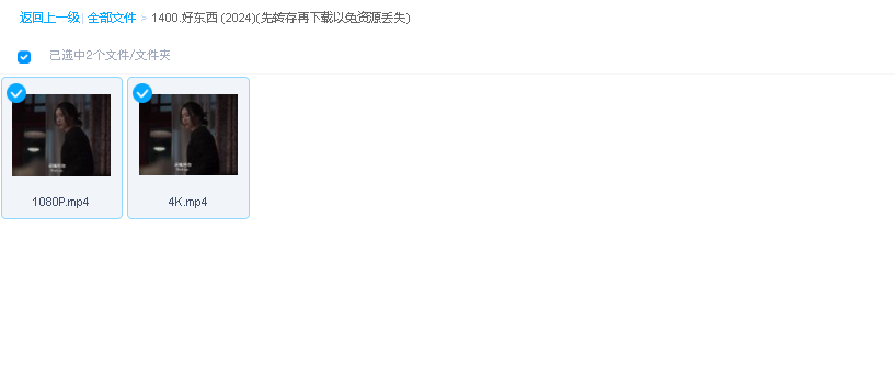 好东西 (2024)(先转存再下载以免资源丢失）