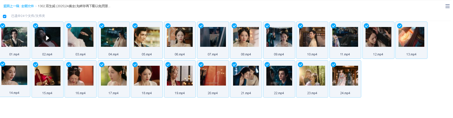 双生契 (2025)24集全(先转存再下载以免资源丢失）