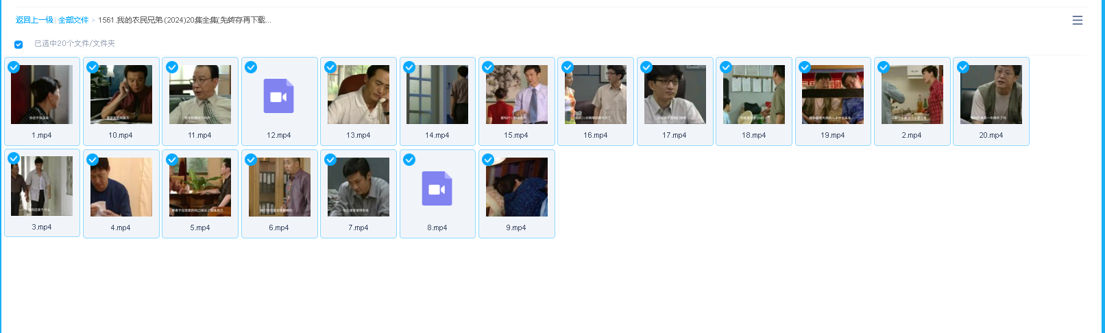 我的农民兄弟 (2024)20集全集(先转存再下载以免资源丢失）