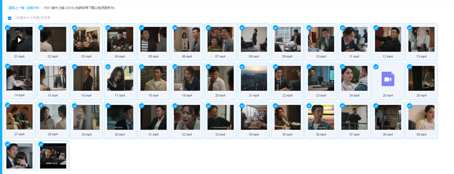 城中之城 (2024)(先转存再下载以免资源丢失）