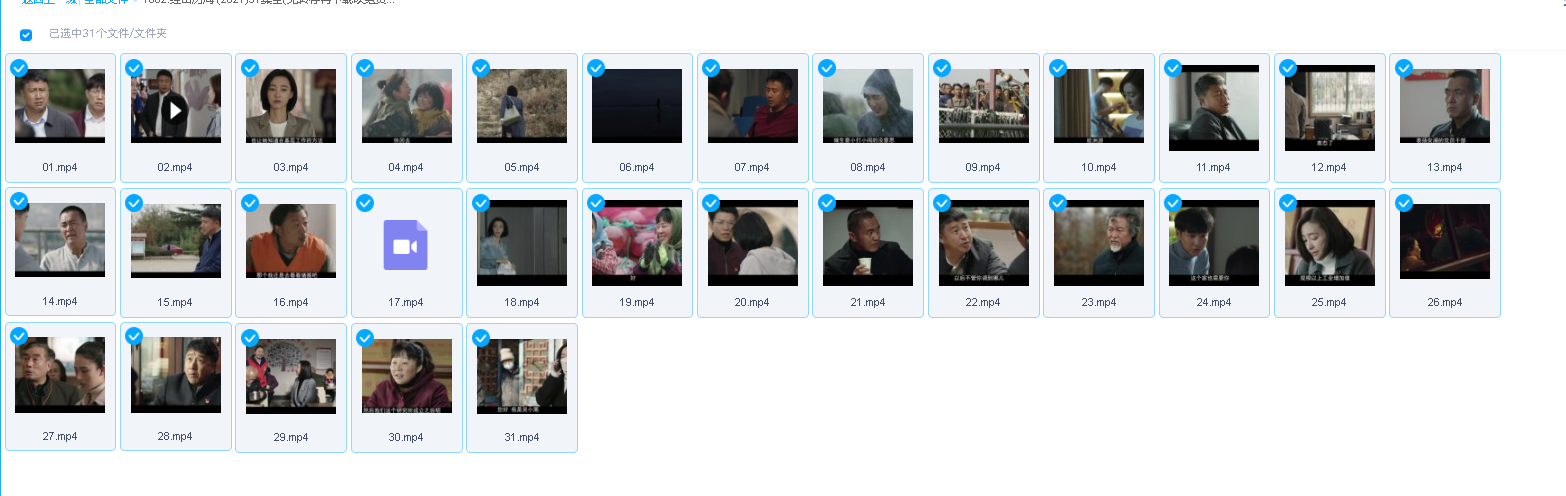 闪耀的她 (2023)32集全 (先转存再下载以免资源丢失）
