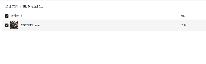 光荣的愤怒（2006）高清中字(先转存再下载以免资源丢失）