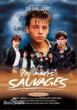 流浪爱侣 Les Minets sauvages (1984)(先转存再下载以免资源丢失）