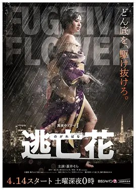 逃亡花 (2018)12集全集(先转存再下载以免资源丢失）
