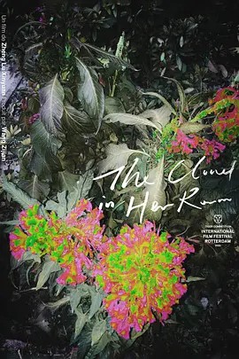 /uploadfile/202510/615fa155a810ac8.jpg#没有设置高宽参数，将以原图输出