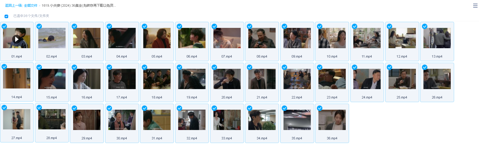 小夫妻 (2024) 36集全(先转存再下载以免资源丢失）