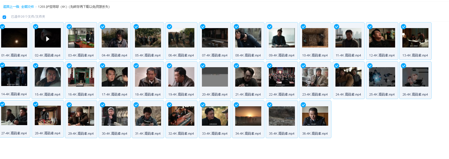 护宝寻踪（4K）(先转存再下载以免资源丢失）