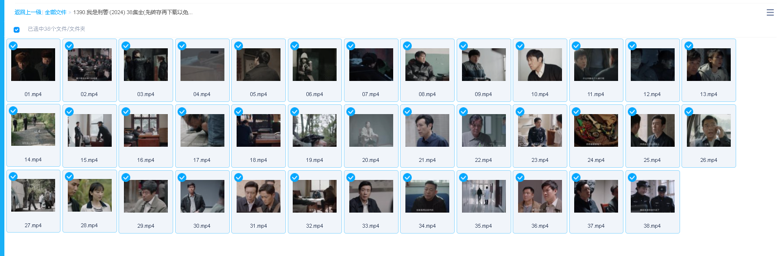 我是刑警 (2024) 38集全(先转存再下载以免资源丢失）