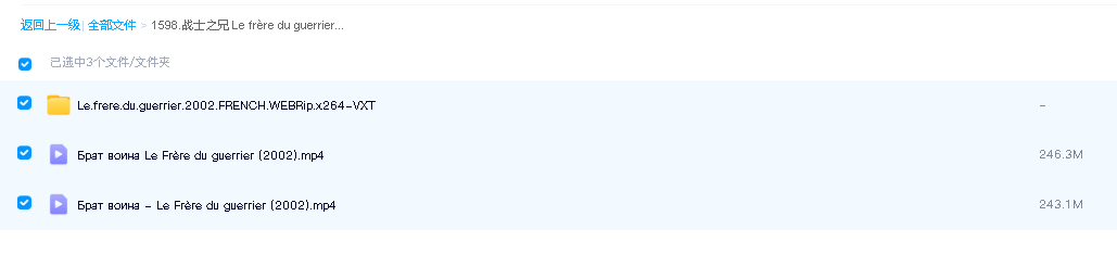 战士之兄 Le frère du guerrier (2002)(先转存再下载以免资源丢失）