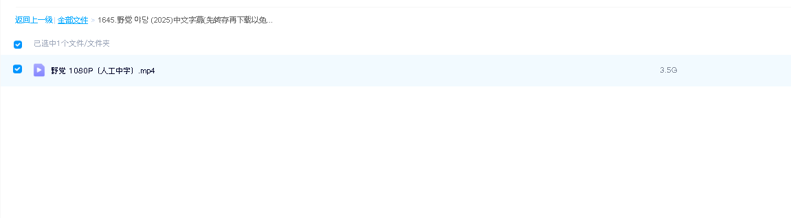 野党 야당 (2025)中文字幕(先转存再下载以免资源丢失）