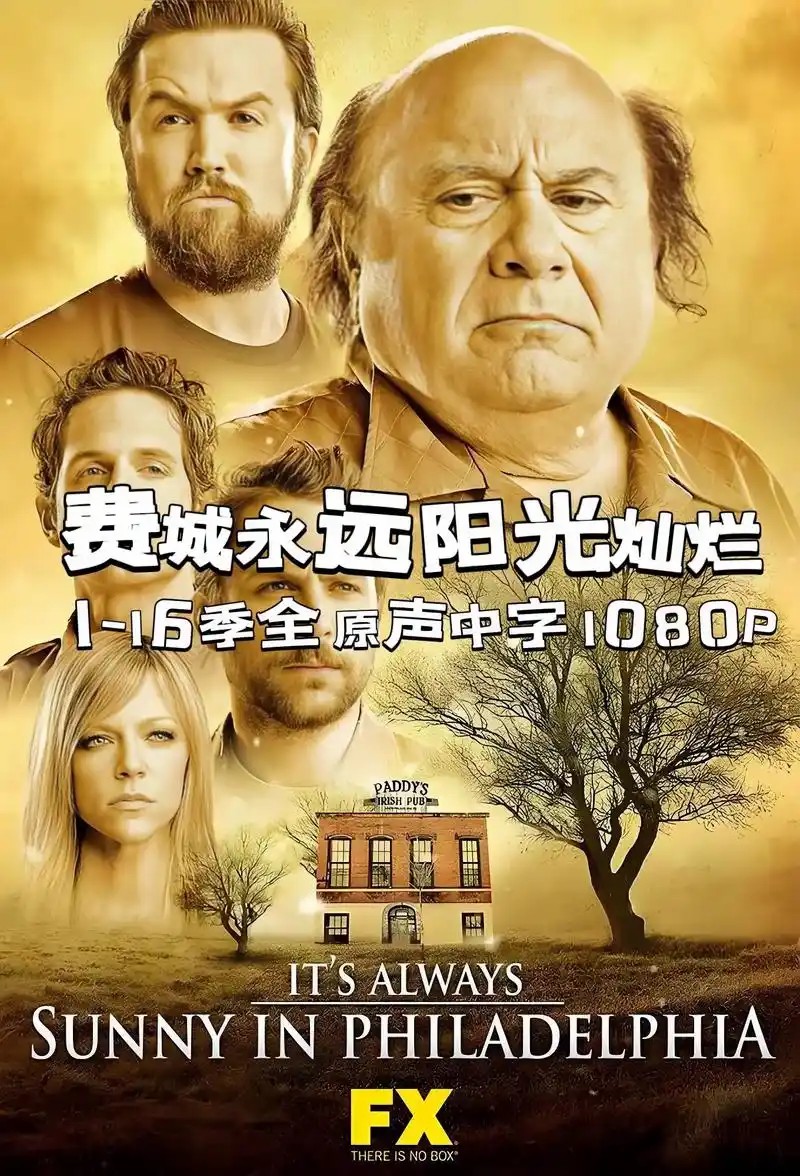 费城永远阳光灿烂 1-16季 超清中字(先转存再下载以免资源丢失）