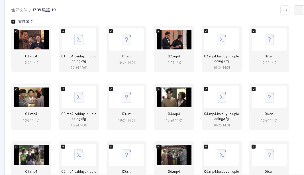 银狐 1993 30集全(先转存再下载以免资源丢失）