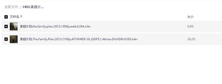 家庭计划 The Family Plan (2023)(先转存再下载以免资源丢失）