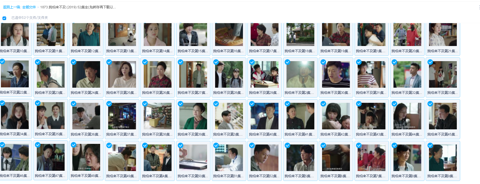 我怕来不及 (2019) 52集全(先转存再下载以免资源丢失）