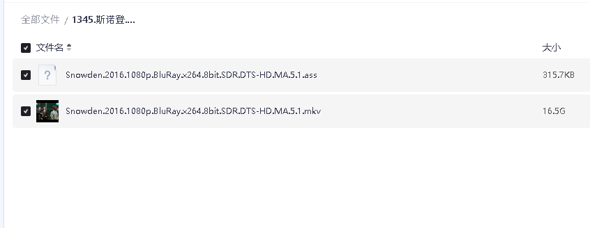 斯诺登.2016.英语中字.豆瓣评分7.6(先转存再下载以免资源丢失）