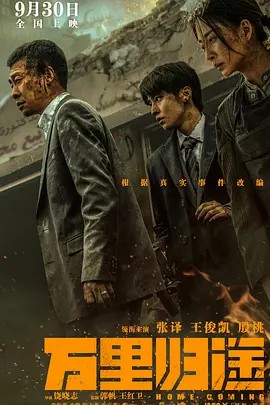 万里归途 (2022) 4K 60帧 中文字幕 张译主演高分电影 高帧丝滑体验(先转存再下载以免资源丢失）