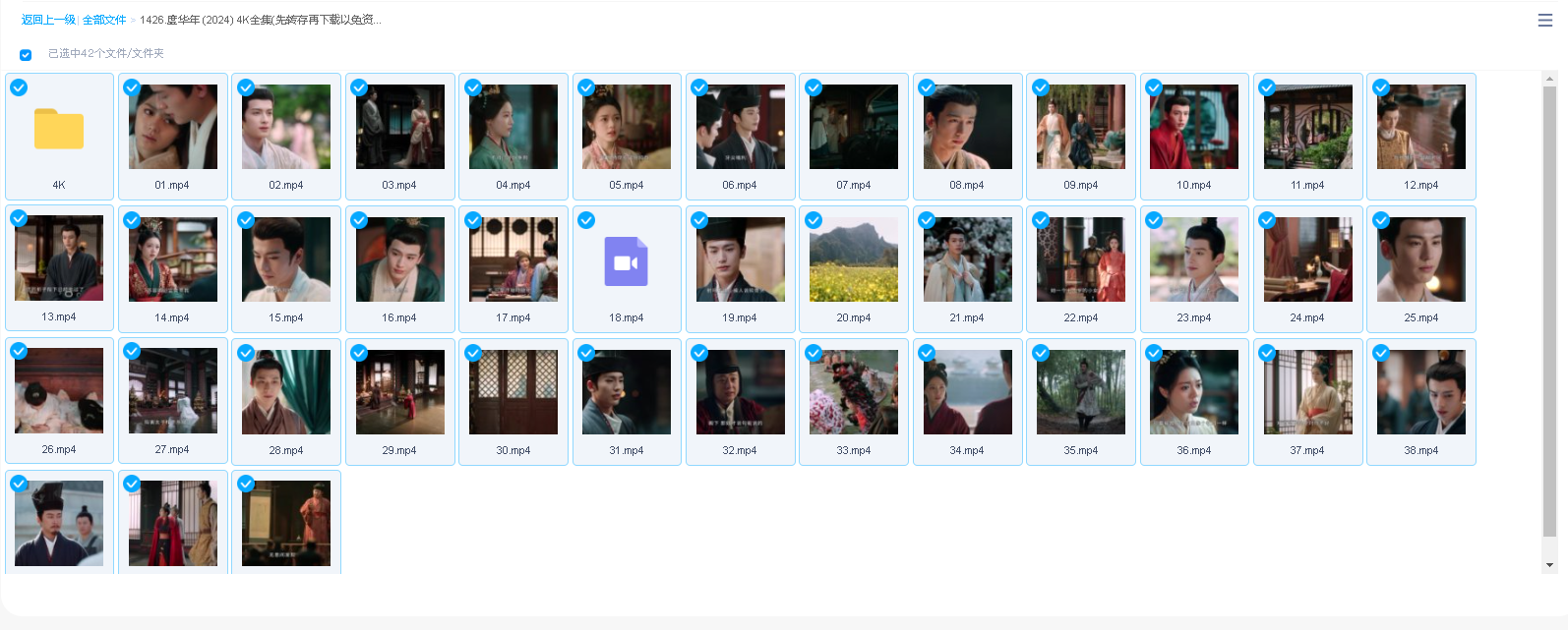 度华年 (2024) 4K全集(先转存再下载以免资源丢失）