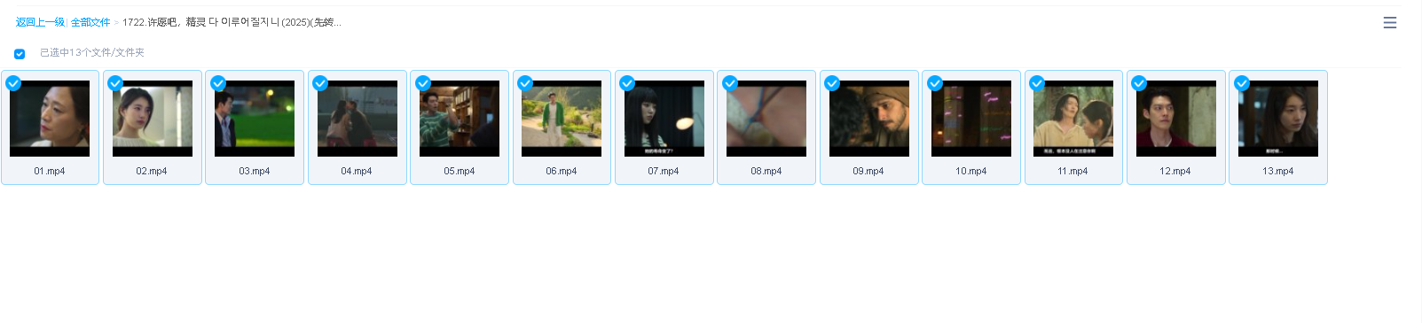 许愿吧，精灵 다 이루어질지니 (2025)(先转存再下载以免资源丢失）