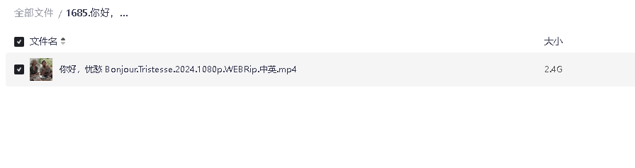 你好，忧愁 2024(先转存再下载以免资源丢失）